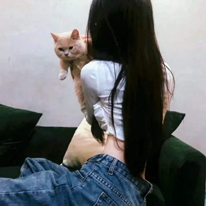 奇迹婚析